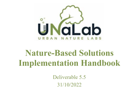NBS Implementation Handbook report cover