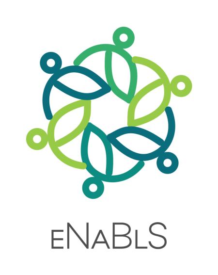 eNaBlS_Project_Logo