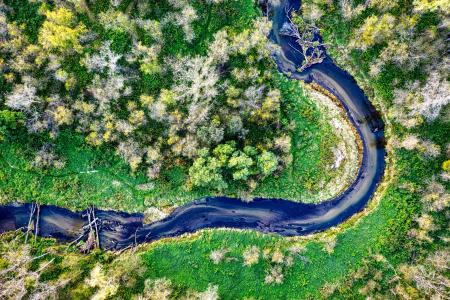 Aerial view of a river going through a forest