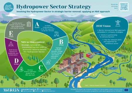 hydropower sector strategy poster