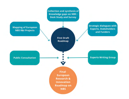 Process towards the development of the European Roadmap for R&I on NbS