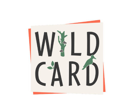 Wildcard logo