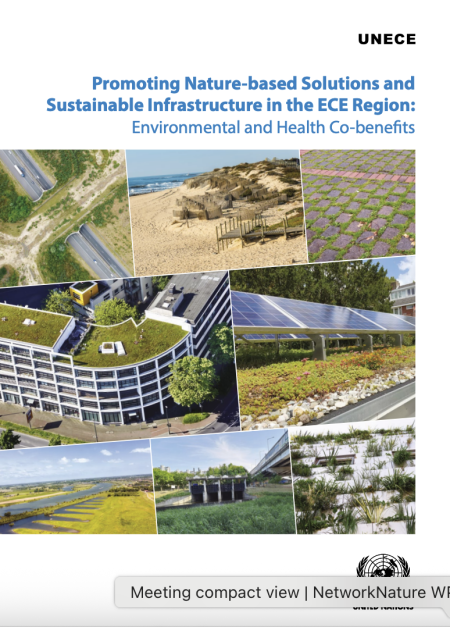 Promoting Nature-based Solutions and Sustainable Infrastructure in the ECE region: Environmental and Health Co-benefits report cover 