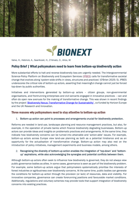 Policy Brief | What policymakers need to learn from bottom-up biodiversity action