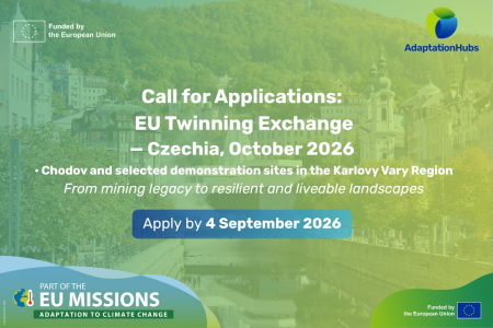 Call for Applications: EU Twinning Exchange