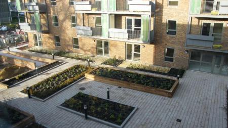 Rectangular planters surrounded by buildings and paving.