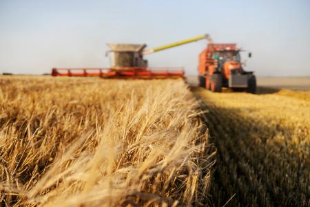 biodiversity in supply chains