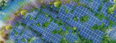 solar panels