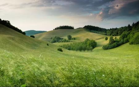 Landscape