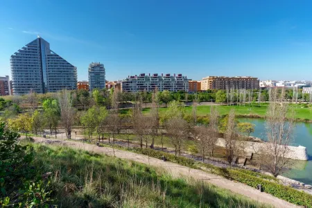 Green park with water and city in the background