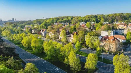 Roads with green tree lines in a city 