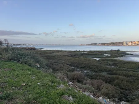 Greenery by water