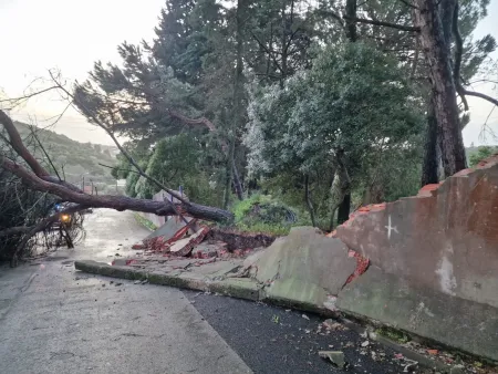 Broken roads and fallen trees as a result of flooding