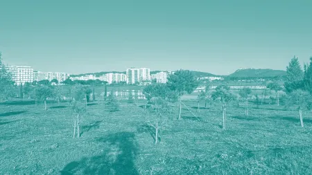 A landscape of trees and city in the background