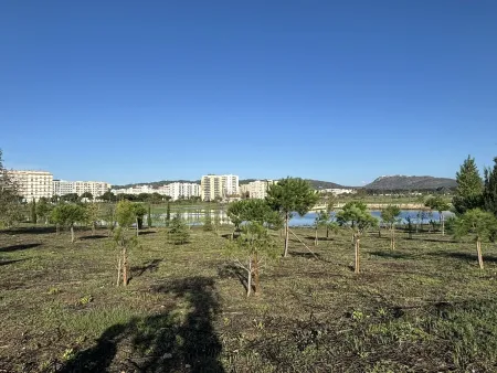 A landscape of trees and a city in the background