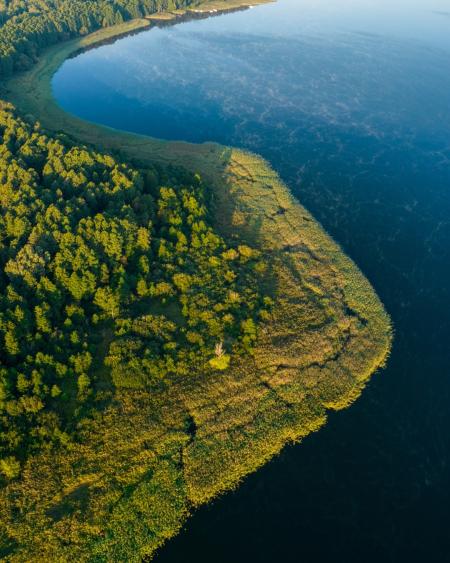 Aerial view of water body by a forest
