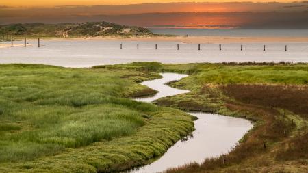 River flowing into the sea on a sunset 