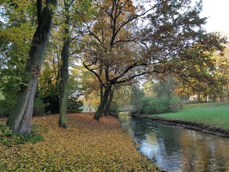The Panka river with trees on the banksides.