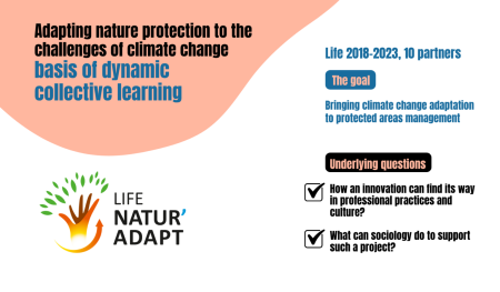 case study graphic cover showing key information