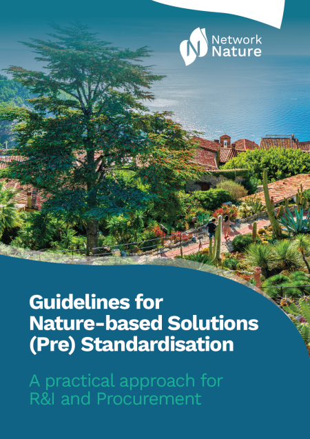 Guidelines for NbS (Pre) Standards