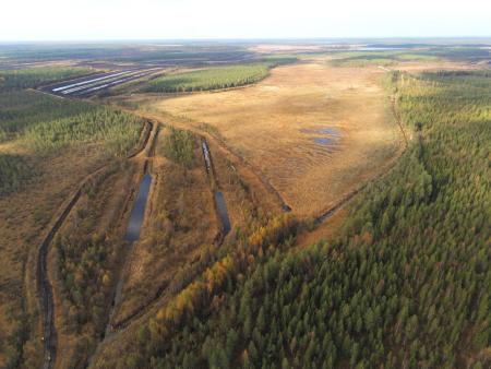 A large scale peat extraction site which has revegetated, there are commercial forest plantations around it. A further extraction site is smaller and still has bare peat.