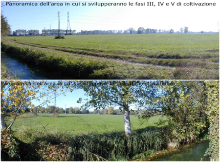 Two panoramic images showing views over farmland, comprising flat fields in  Pozzuolo Martesana and Truccazzano.