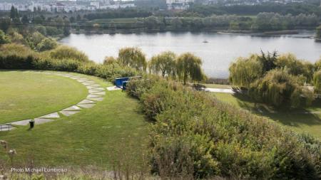Amenity grassland with a circle of paving, trees and shrub planting on the bankside.