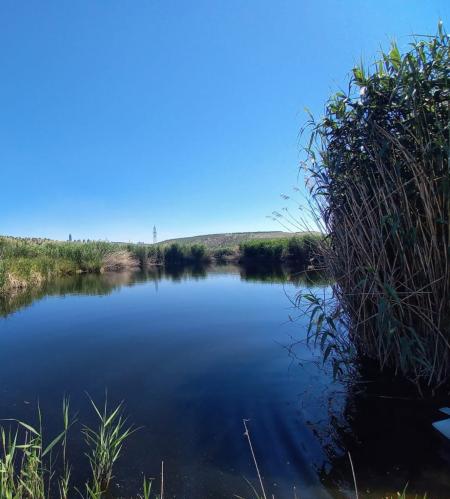View across a pond in Gölbaşı.