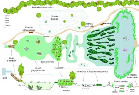 A detailed planting plan of the wetland.