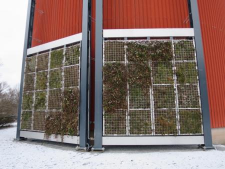 A green wall installation set in square grids on a red building.