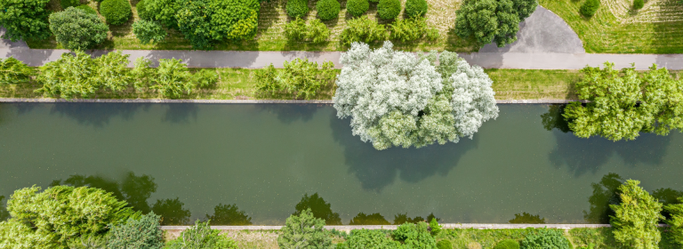 River in a city park