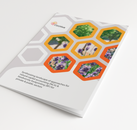 Report on synthesising approaches for natural capital accounting and biodiversity footprinting