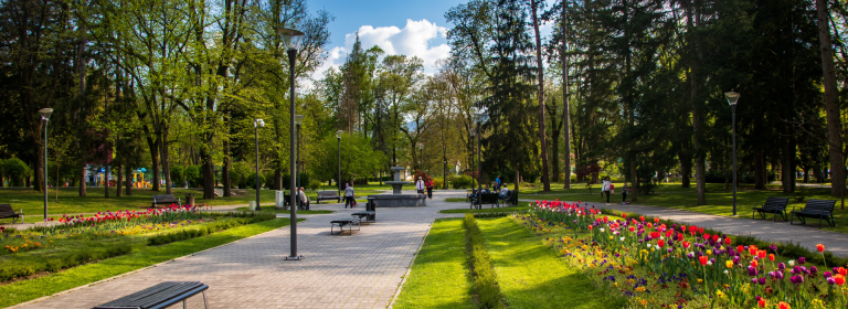 City park with flowers and trees