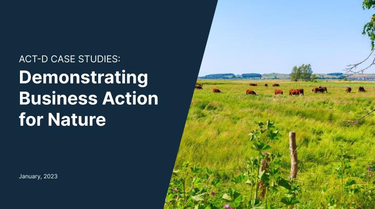 ACT-D case studies report cover