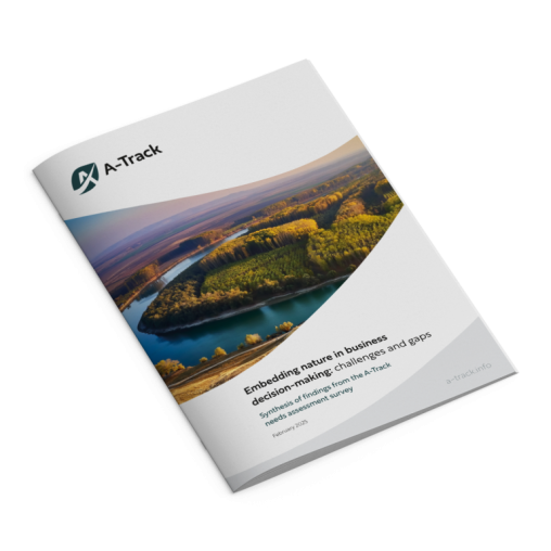Report cover: Embedding nature in business decision-making: challenges and gaps