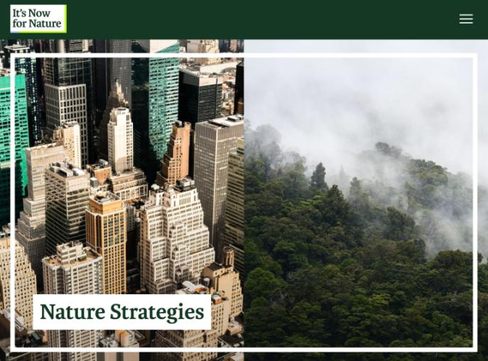 Nature strategies web page