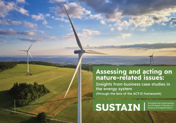 Report cover of Assessing and acting on nature-related issues Insights from business case studies in the energy system showing aerial image of wind turbines in panoramic landscape