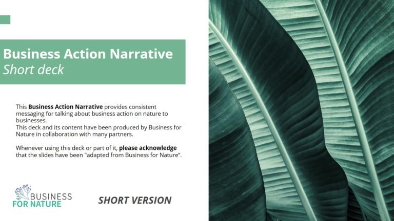 Business Action Narrative Slide 1