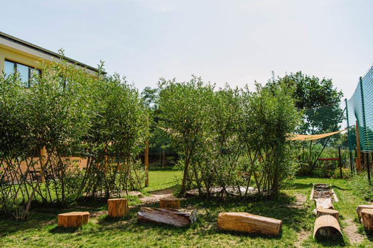 An area of planting with small, young trees, logs and borders by a yellow building.