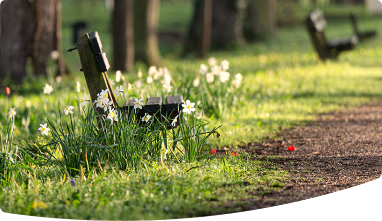 Bench beside a path in an urban park