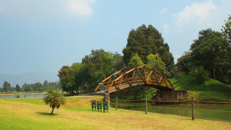 Image of bridge and trees