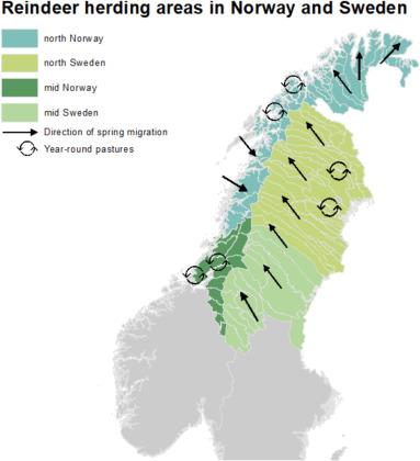  Reindeer herding regions and reindeer herding communities in Norway and Sweden, respectively. The colors indicate the four simulation areas. Arrows indicate spring migration and year-round pastures (Source: Pape and Löeffler, 2012)