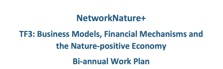 TF3: Business models, financial mechanisms, and the nature-positive economy