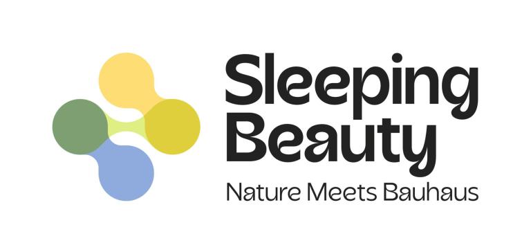 Sleeping Beauty project logo