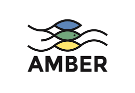 AMBER International logo
