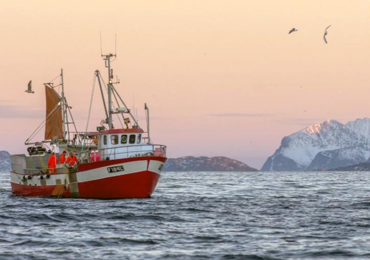 Forside: Torskefiske utenfor Kvaløya i Troms. Foto: Bo Eide