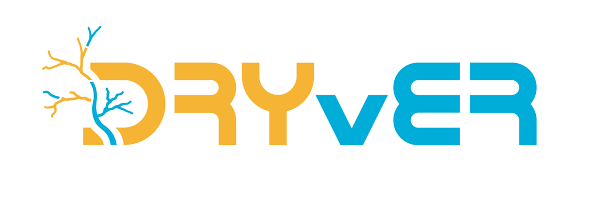 DRYvER project logo