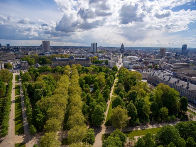 City Nature