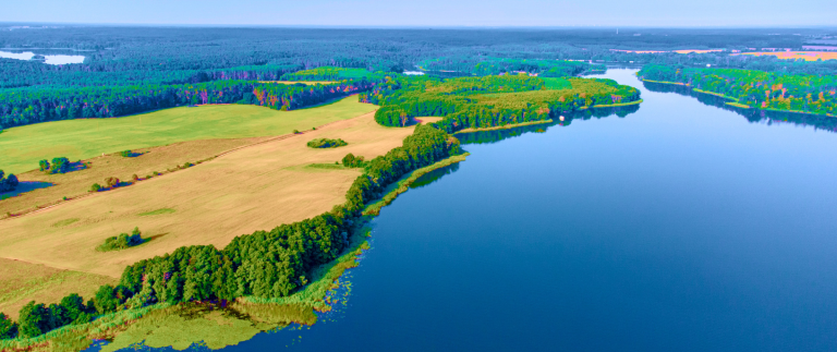 A flat peatland landscape with woodland next to a river.