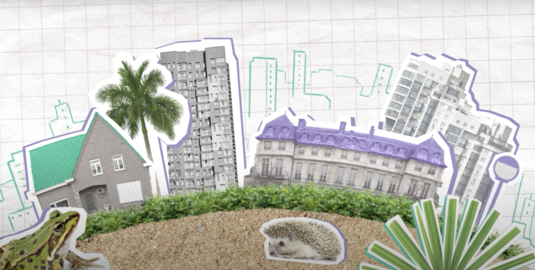 cities with trees and plants